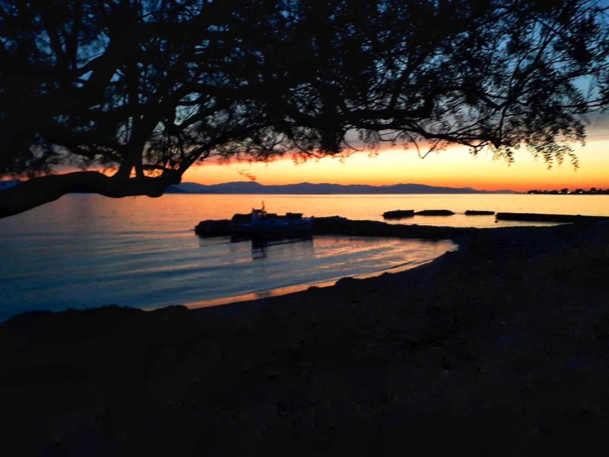 Elegant New Maisonette Near The Sea Aegina 외부 사진